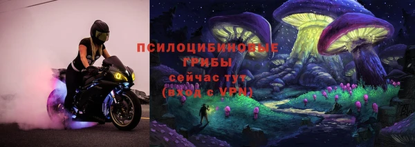 ПСИЛОЦИБИНОВЫЕ ГРИБЫ Киренск