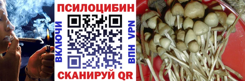 Псилоцибиновые грибы ЛСД это клад Череповец